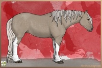 Horse Color:Silver Grullo Tobiano 
