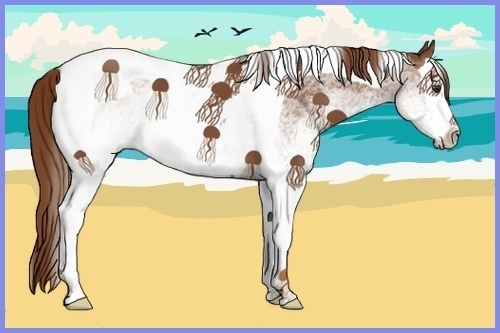 Horse Color:White Spotted Chestnut Splash Tobiano 