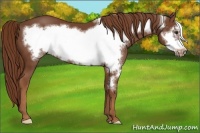Horse Color:Chestnut Frame