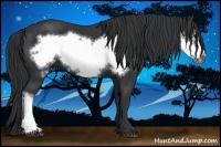Horse Color:Black Frame 