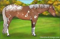 Horse Color:White Spotted Silver Bay Ice Tobiano 