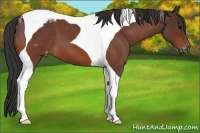 Horse Color:Bay Roan Tobiano Blanket 