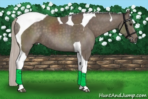 Horse Color:Silver Black Tobiano 