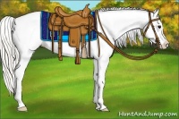 Horse Color:Silver Smoky Black Varnish 
