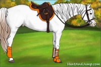 Horse Color:Smoky Black Appaloosa Rabicano