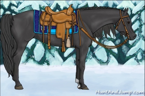Horse Color:Smoky Black Rabicano 