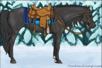 Horse Color:Smoky Black Rabicano