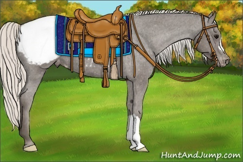 Horse Color:Silver Black Appaloosa 