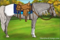 Horse Color:Silver Black Appaloosa 