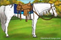 Horse Color:Smoky Black Appaloosa 