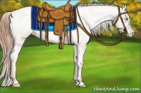 Horse Color:Smoky Blue Roan Pearl Appaloosa 