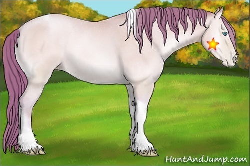 Horse Color:Watercolor Amber Cream Champagne Pearl Onyx Tobiano