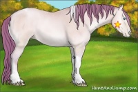 Horse Color:Watercolor Amber Cream Champagne Pearl Onyx Tobiano 