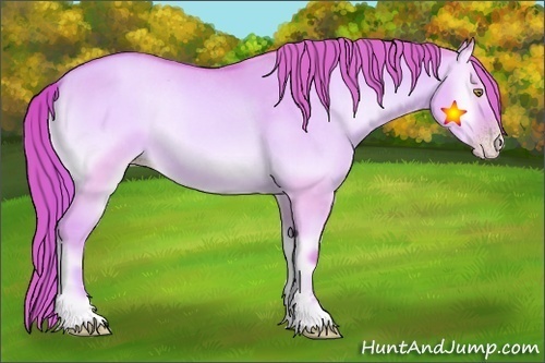 Horse Color:Watercolor Gold Champagne Onyx Sabino