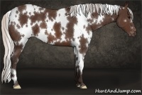 Horse Color:White Spotted Silver Brown Varnish