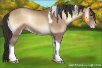 Horse Color:Classic Champagne Onyx Tobiano 