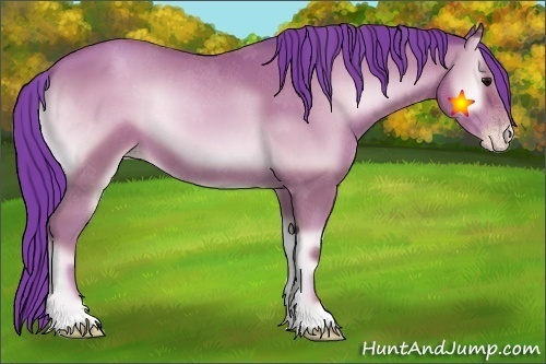 Horse Color:Watercolor Classic Champagne Onyx 