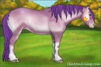 Horse Color:Watercolor Classic Champagne Onyx