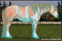 Horse Color:Thunderstruck Watercolor Gold Champagne Sabino 