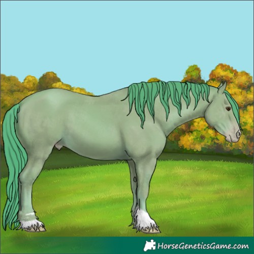Horse Color:Watercolor Classic Champagne 