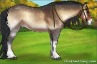 Horse Color:Brown Onyx Sabino