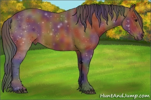 Horse Color:Nacre Bay 