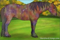 Horse Color:Nacre Bay 