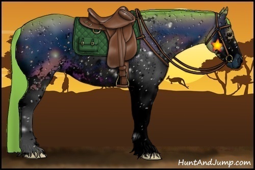 Horse Color:ERROR: UNKNOWN ANOMALY