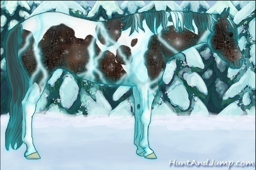 Horse Color:Thunderstruck Bay Ice Tobiano 
