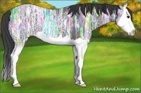 Horse Color:Smoky Black Ice Splash