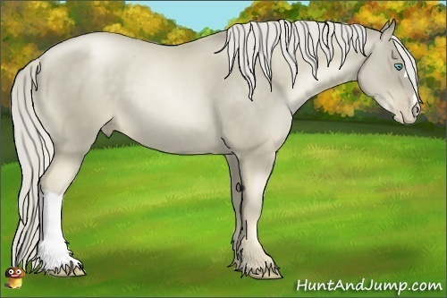 Horse Color:Chocolate Palomino Pearl 