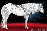 Horse Color:Brown Chinchilla Dun Appaloosa Rabicano