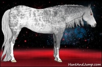 Horse Color:Silver Black Chinchilla Ice