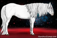Horse Color:Silver Bay Chinchilla Roan Onyx Appaloosa Rabicano 