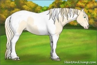 Horse Color:Perlino Roan Tobiano