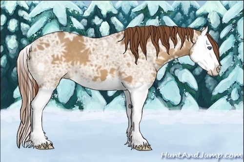 Horse Color:Red Dun Ice Splash