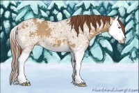 Horse Color:Red Dun Ice Splash