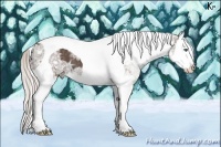 Horse Color:Silver Black Ice Splash Tobiano 