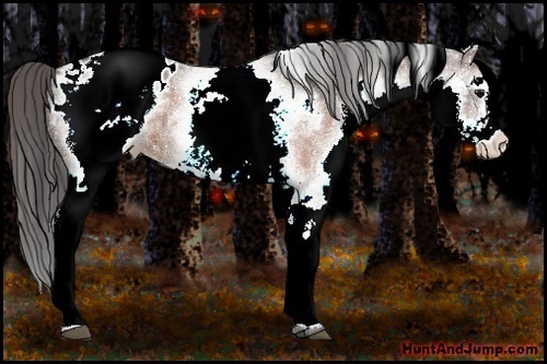 Horse Color:White Spotted Brown Ice Varnish 