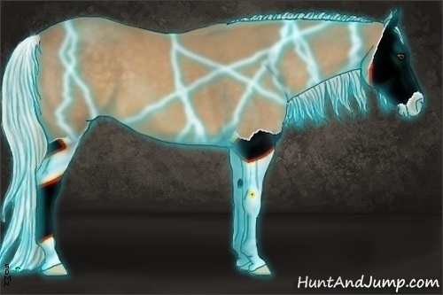 Horse Color:Thunderstruck Palomino Splash