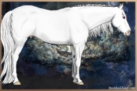 Horse Color:White Spotted Red Onyx Chinchilla Pearl Splash 