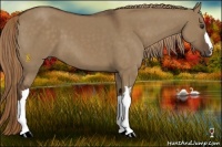 Horse Color:Liver Red Dun