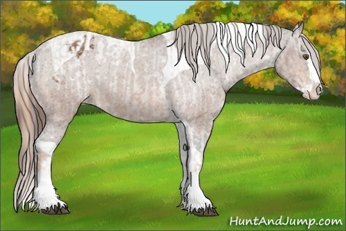 Horse Color:Chestnut Sabino Splash Varnish  and Bay Splash Tobiano Varnish 