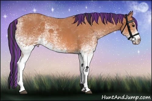 Horse Color:Painted White Spotted Bay Tobiano