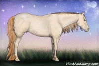Horse Color:Buckskin Pearl 