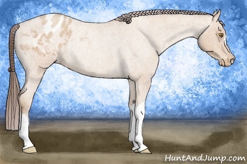 Horse Color:Sable Champagne Roan Varnish Rabicano