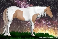 Horse Color:Brown Pearl Tobiano 