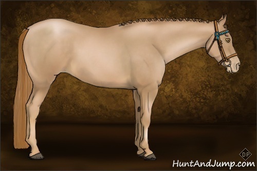 Horse Color:Chestnut Pearl Frame 