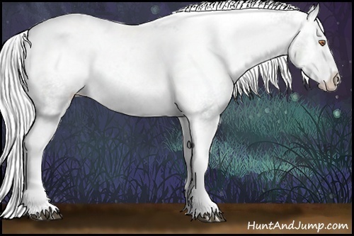 Horse Color:White Spotted Silver Black Chinchilla Tobiano Varnish 