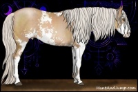 Horse Color:Silver Black Pearl Sabino 